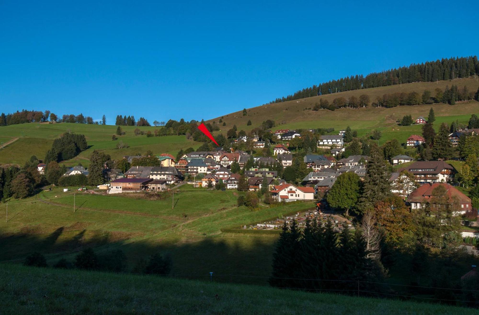 Apartment 03 - Ferienresidenz Roseneck, Mit Schwimmbad In Todtnauberg Bei Feldberg Экстерьер фото
